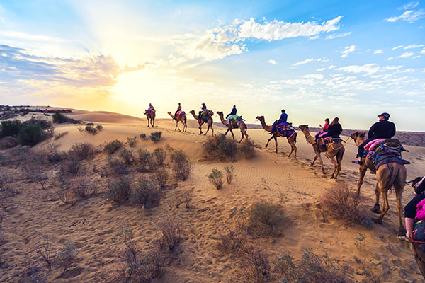 Desert Camels Morocco desert-camels-morocco